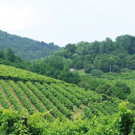 Montegrappa Fly On *