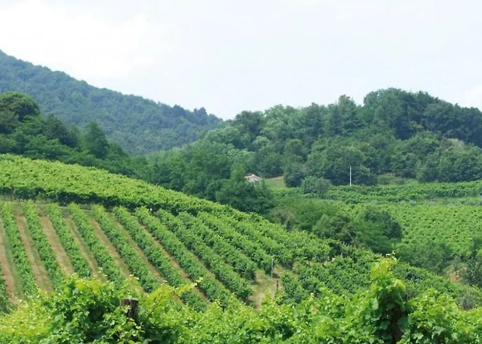 Montegrappa Fly On *