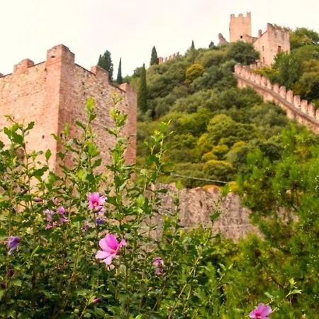 아파트 Montegrappa Fly On